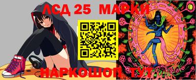 стафф Краснознаменск
