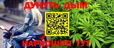 стафф Краснознаменск