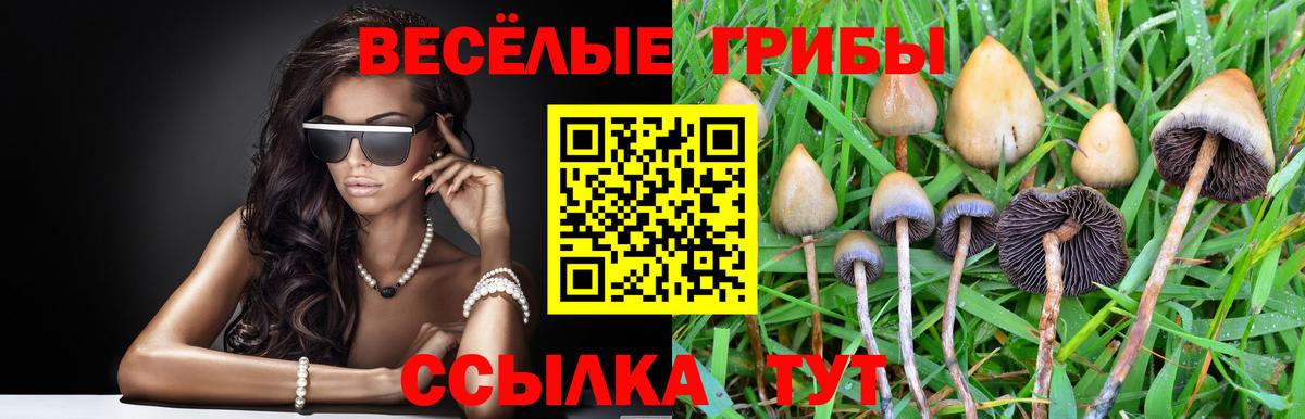Галлюциногенные грибы мухоморы Елец