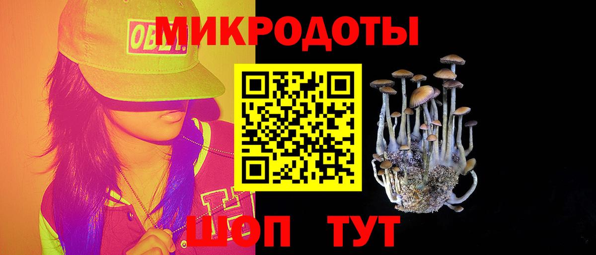 Елец  Псилоцибиновые грибы Psilocybe  Псилоцибиновые грибы мухоморы  где можно купить наркотик  Вход с VPN 